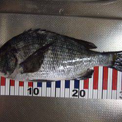 みなさん、１投目での釣果はどう？