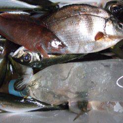 ころころ変わる天気に苦戦