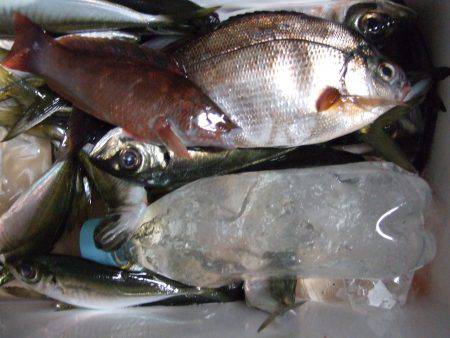 ころころ変わる天気に苦戦