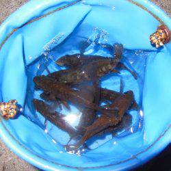 ちんまいけど楽しい♪