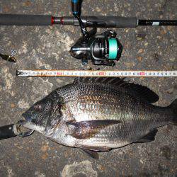 テクトロでヒット♪。