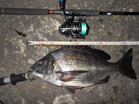 テクトロでヒット♪。