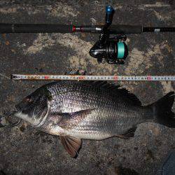 テクトロで連発