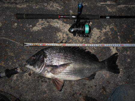 テクトロで連発