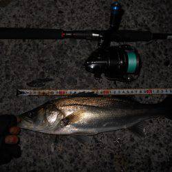 メタルバイブでヒット♪