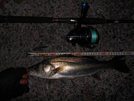 メタルバイブでヒット♪