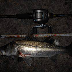 メタルバイブでチヌ＆シーバス♪