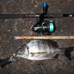 サイズダウン…。