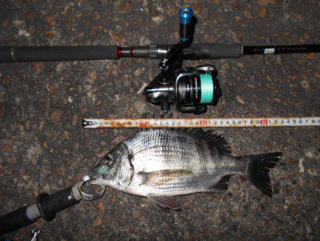 サイズダウン…。