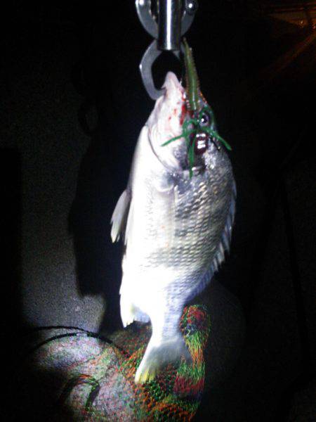 コンッコン、ごんっ！