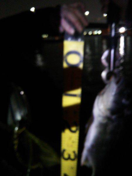 みんなで底ずるずる！