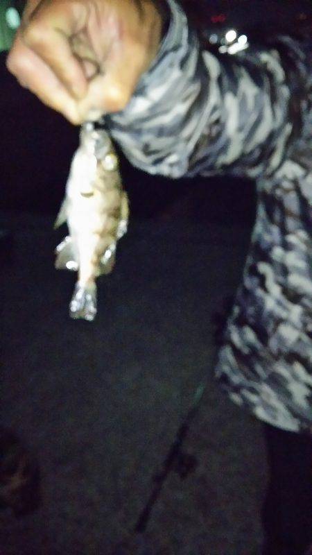 友人達とワイワイメバリング♪