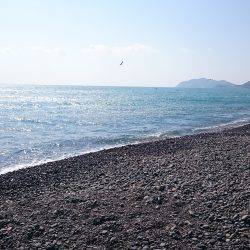 ナブラ！ナブラ！ナブラ！