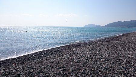 ナブラ！ナブラ！ナブラ！