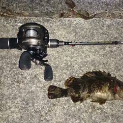 ガシリングプラッキング。