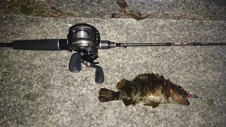 ガシリングプラッキング。