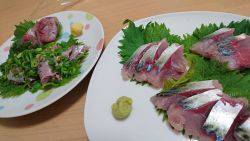 マグロ釣りたい～