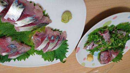 マグロ釣りたい～