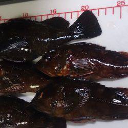 忙しさの中の癒し