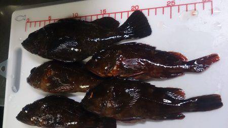 忙しさの中の癒し