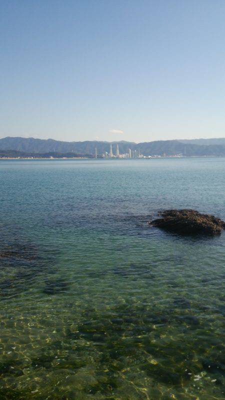 昼間にメバリング