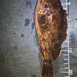 釣りやすい気候