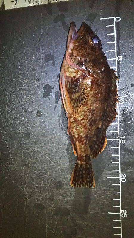 釣りやすい気候