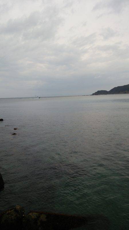 釣り日はいつもタフ候