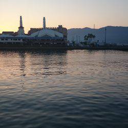 マイワシ爆釣!!!