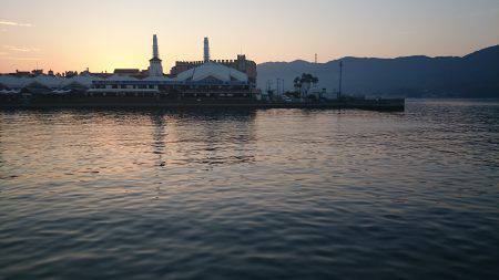 マイワシ爆釣!!!