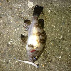 よくなってきたかな？