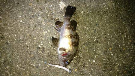 よくなってきたかな？