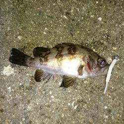 よくなってきたかな？