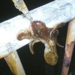 久しぶりの釣り…