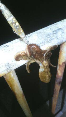 久しぶりの釣り…