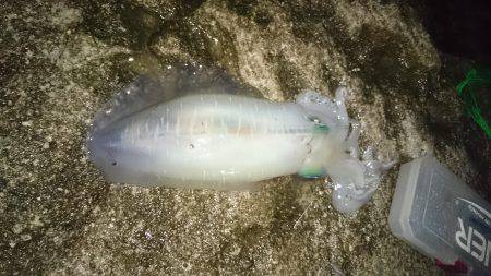 雨の中リベンジ