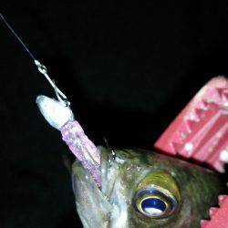 爆風に向かって３０分１本しょーぶ！(笑)