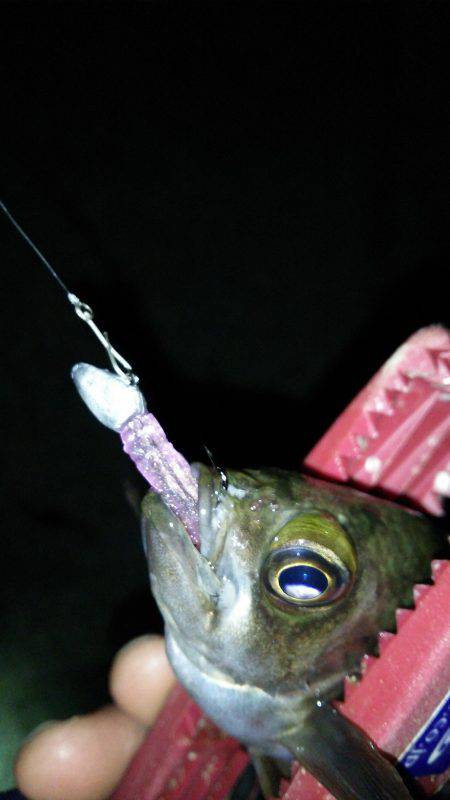 爆風に向かって３０分１本しょーぶ！(笑)