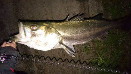 マイクロベイトパターン