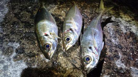 ちょっとアジング