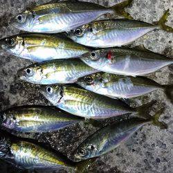 ジアイのタイミング