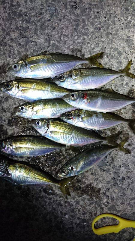 ジアイのタイミング