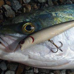 地磯、ルアー釣り