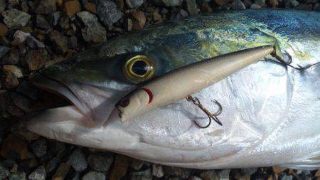 地磯、ルアー釣り