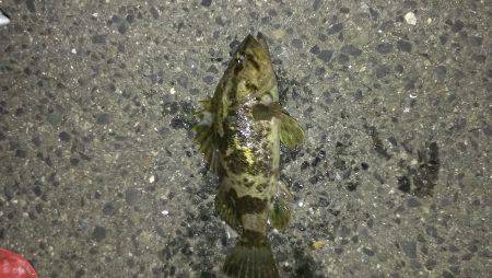 ボウズ癖が抜けぬ