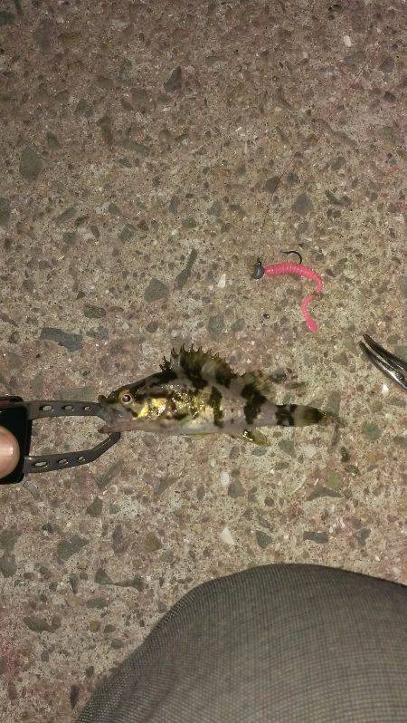 サイズが伸びない……