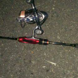 渋い中での１匹！！