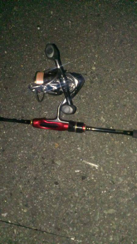 渋い中での１匹！！