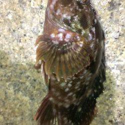 とりあえず連敗脱出