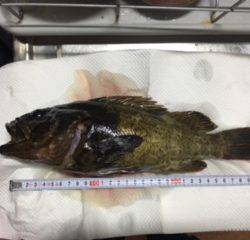 ﾒﾊﾞﾘﾝｸﾞ